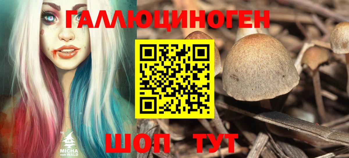 Луховицы  дарнет шоп  Вход с VPN  Галлюциногенные грибы прущие грибы 