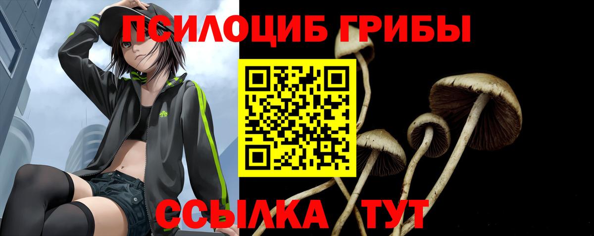 Галлюциногенные грибы MAGIC MUSHROOMS Луховицы